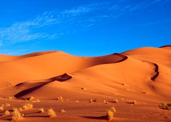 Marrakech to Merzouga Desert tour 4 Days