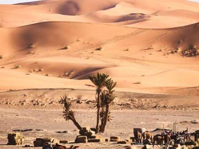 Marrakech to Merzouga Desert Via Zagora 4 days